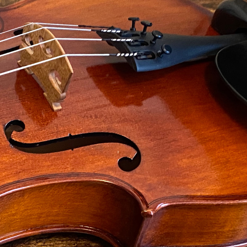 Closeup of viola showing the bridge, strings, tailpiece, fine tuners, chin rest, F-holes, top plate, and ribs. Viola lessons are provided by Courtney Bartlett.